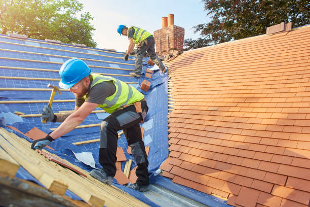 Best Chimney Flashing Repair  in Pleasant Grove, UT